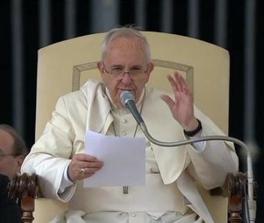 Papa Francesco durante l'Udienza Generale del 5.11.2014